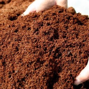 coconut-coir-1528803025-3971431
