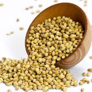 coriander-seeds-1S-670 coriander-seeds-1S-670